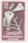 Stamps Spain -  Telegrafos Tanger