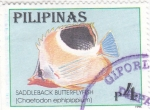Sellos de Asia - Filipinas -  pez-saddleback butterflyfish