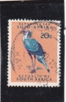 Stamps South Africa -  ave-