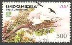 Sellos de Asia - Indonesia -  1772 - Aves en nido