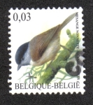 Stamps Belgium -  Pajaros