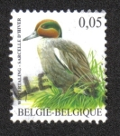 Stamps Belgium -  Pajaros