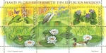 Stamps Moldova -  PLANTAS  EN  PELIGRO  DE  EXTINCIÒN