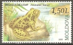 Stamps Moldova -  REPTILES  Y  ANFIBIOS  EN  PELIGRO  DE  EXTINCIÒN.  PELOBATES  FUSCUS.