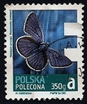 Sellos de Europa - Polonia -  Mariposas - Falsa limbada