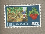 Stamps Europe - Iceland -  Invernadero tomates