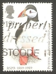 Stamps United Kingdom -  1363 - Puffin
