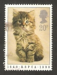 Sellos de Europa - Reino Unido -  1439 - 150 anivº de la sociedad real protectora de los animales, un gato