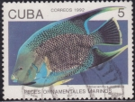 Stamps : America : Cuba :  Peces ornamentales marinos