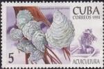 Stamps : America : Cuba :  Acuicultura