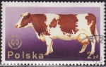 Sellos de Europa - Polonia -  Vaca