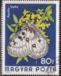 Stamps Hungary -  Mariposa