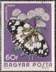 Stamps Hungary -  Mariposa