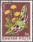 Stamps Hungary -  Mariposa