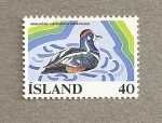 Stamps : Europe : Iceland :  Pato
