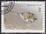 Stamps Russia -  Animalito