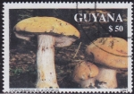 Sellos de America - Guyana -  Hongos