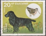 Stamps : Europe : Bulgaria :  Perro