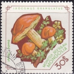 Stamps Mongolia -  Hongos
