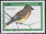 Stamps : America : Cuba :  Aves - Picotero del Cedro