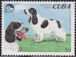 Stamps : America : Cuba :  Perro - Cocker