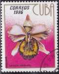 Stamps : America : Cuba :  Orquidea