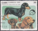 Stamps : America : Cuba :  Perro - Teckel