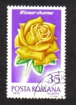 Sellos de Europa - Rumania -  Rosas