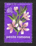 Stamps Romania -  Almendra Enano