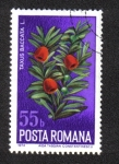 Sellos de Europa - Rumania -  Flores