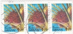 Stamps Ghana -  Fruta de la palma