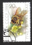 Stamps Russia -  Abeja en la flor