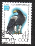 Stamps Russia -  Águila de mar de Steller (Haliaeetus pelagicus)