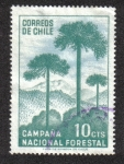 Sellos de America - Chile -  Campaña Nacional Forestal