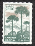 Sellos de America - Chile -  Campaña Nacional Forestal