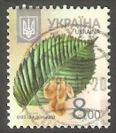 Sellos de Europa - Ucrania -  Fruto Orme blanc (ulmus laevis)