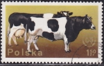 Stamps Poland -  Intercambio