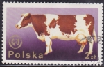 Stamps Poland -  Intercambio