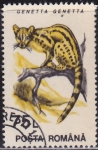 Stamps : Europe : Romania :  Intercambio