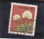 Stamps Australia -  flores-