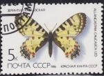 Stamps Russia -  Intercambio