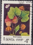 Stamps Russia -  