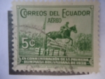 Stamps : America : Ecuador :  En Conmemoración de la Primera Olímpiada Bolivariana 1938.