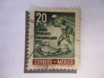 Stamps Mexico -  II Juegos Deportivos Panamericanos 1955.