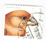 Stamps Portugal -  Cruza Bico Comun