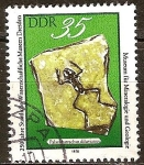 Sellos de Europa - Alemania -  252a Aniv de Dresde Museos Científicos (DDR)