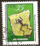 Stamps Germany -  252a Aniv de Dresde Museos Científicos (DDR)