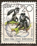 Stamps Germany -  125 años del zoológico de Dresde
