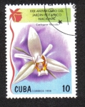 Stamps : America : Cuba :  Orquídeas