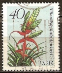 Stamps Germany -  Bromelias.Tillandsia kalmbacheri-DDR.